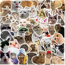 Funny Cat Meme Stickers 50PCS Waterproof Vinyl Decals for Adults Water Bottle