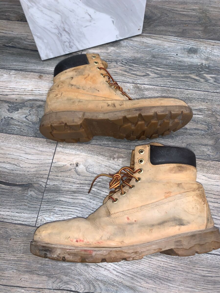 Timberland 6 Inch Premium Waterproof 10061 BOOTS US Size 11M Timberland 6 Inch Premium Waterproof 10061 BOOTS US Size 11M