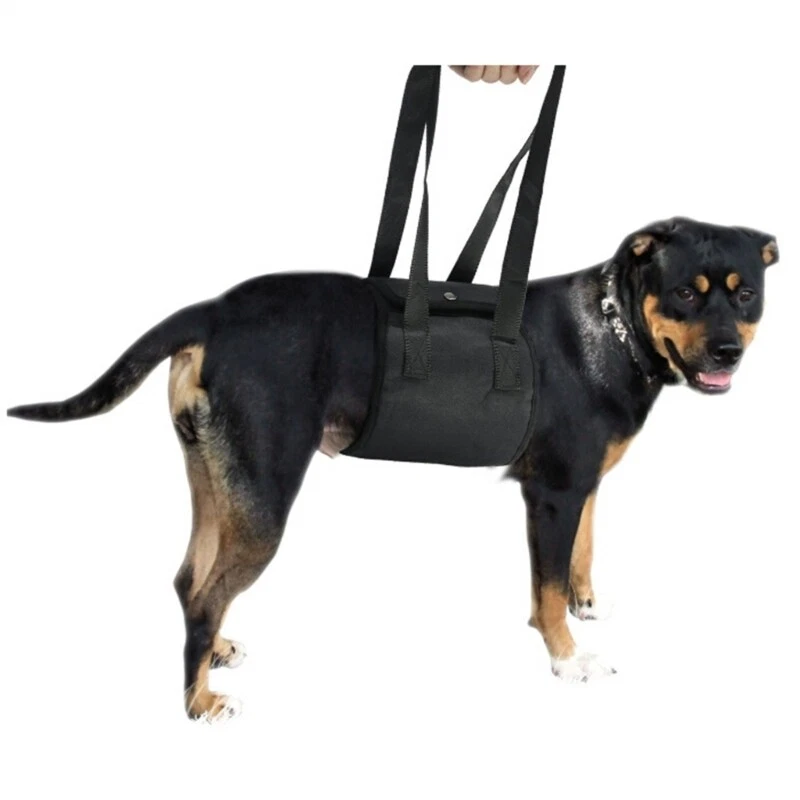 Dog Harness Dog Harness for Small Large Size Dog No Pulling
