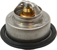 Thermostat FüR Volvo Penta 875580 230 AQ120 AQ125 AQ140 BB140 AQ145 BB145 AQ131