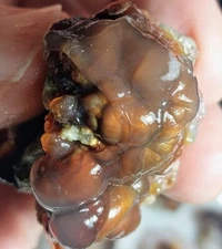 Vtg 1970s Deer Creek Arizona Fire Agate Rough 2.3 Ounces