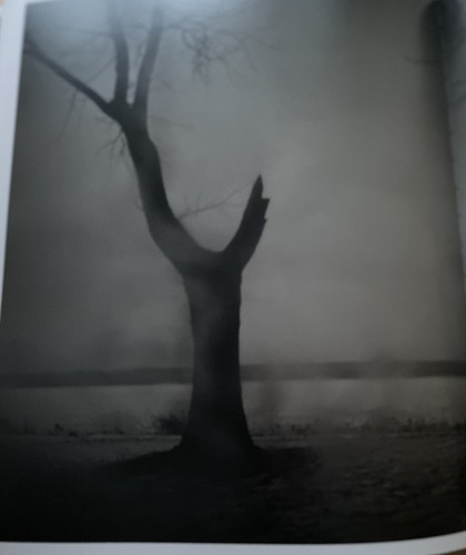 Todd Hido: Intimate Distance : AS NEW, SIGNED, Aperture, 2016, First Edition - Picture 9 of 15