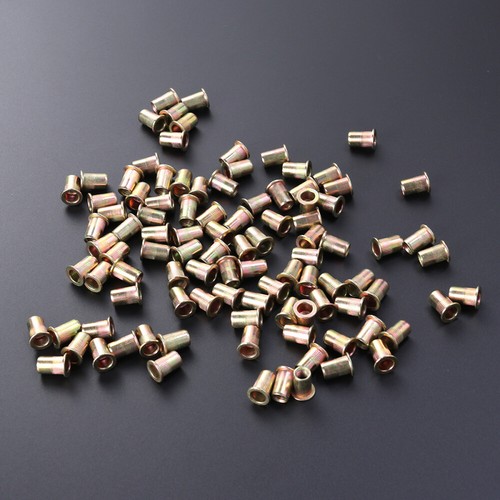Rivet Nuts Zinc Plated Flat Head Stainless Steel Pneumatic Tool - Picture 7 of 8