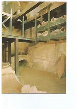 ITALY ITALIA HERCOLANO BOUTIQUE SUR CARDO IV