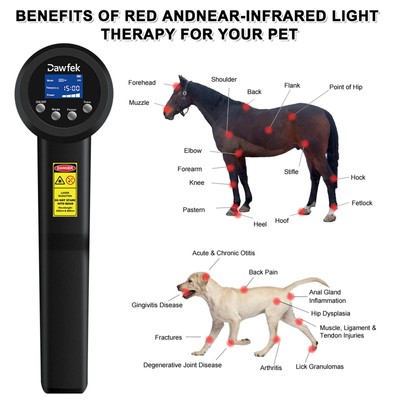 5000mW Laser Therapie Gerät Medizinischer Arthritis Kälte-Lasertherapie System