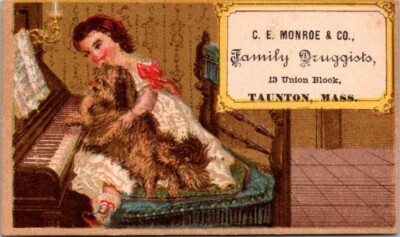 Taunton MA C E Monroe Co Family Druggists Girl Playing Piano Dog On Chair GPV1