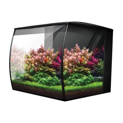 Fluval Flex 2.0   Modernes 34L Süßwasseraquarium mit LED & Filtersystem 
