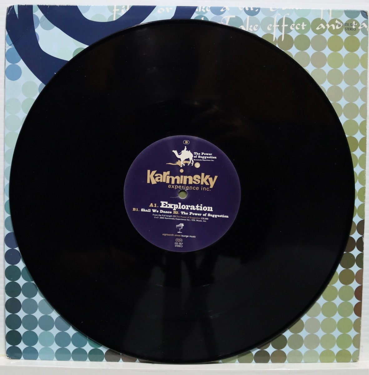 Karminsky Experience Inc The Power〜2LP 【公式通販】