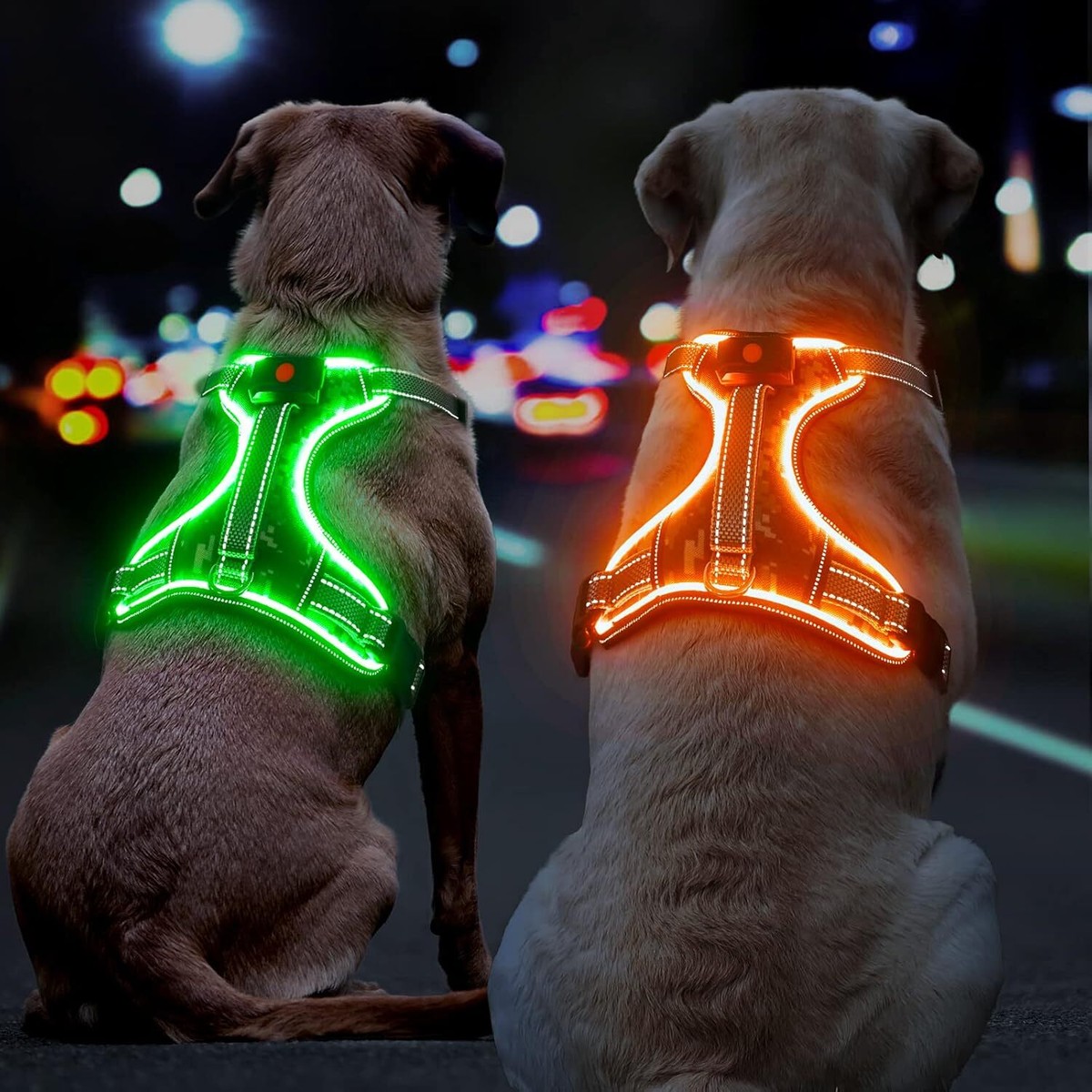 Noxgear Dog Lights For Harness Noxgear LightHound LED Illuminated