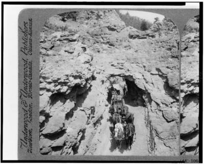 8'' x 10'' 1910 Photo Loads of gold coming down trail from tomboy mine to Tel