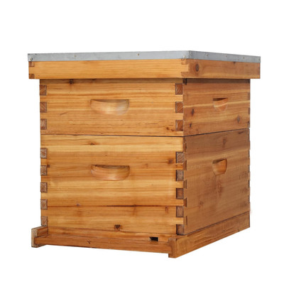 10 Frames Beehive, Complete Beehive Kit Includes 1 Deep Boxes, 1 Medium Box, Fra