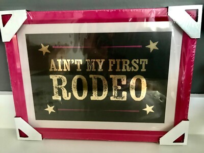 Brandneu Next schwarz/pink Ain t My First Rodeo Metall Spruch gerahmtes Wandbild/Schild