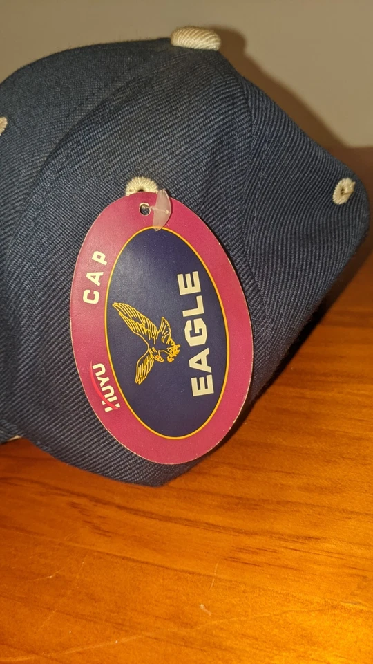 De Colección Gorra New England Patriots 2003 AFC Champs Ajustable Nueva Foto 4 de 4