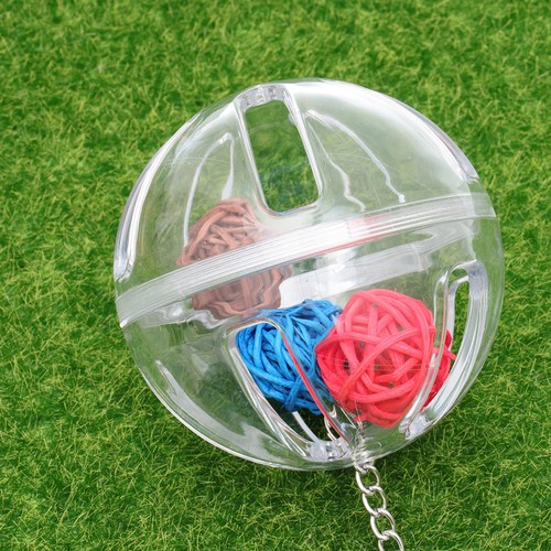 Caja de forrajeo de loros portátil transparente para loros de 1 pieza divertido pájaro para mascotas - Imagen 10 de 11