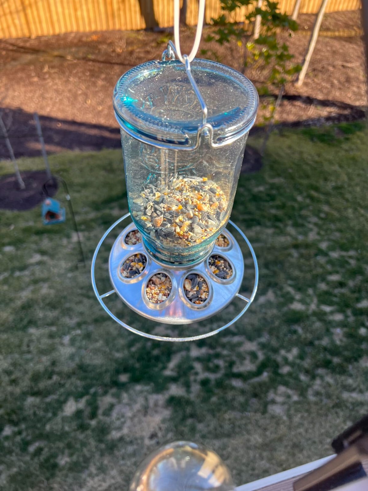 8 Feeding Port Blue Antique Glass 1 Lb. Seed Capacity