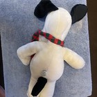 Foto 2 di 2