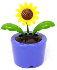 New Solar Powered Dancing Sunflower  Purple