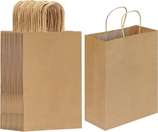 10 x 5 x 13 in. Small Brown Kraft Paper Shopping Bags with Handles