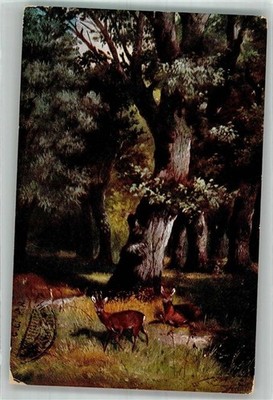 38173660 - Rehe auf einer Lichtung im alten dunklen Wald Jagdtier 1913