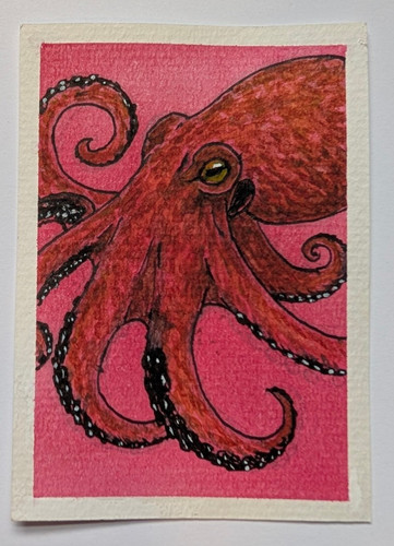 ACEO Original Octopus Red Black Watercolor Ink 2.5x3.5 by Mara Molnar