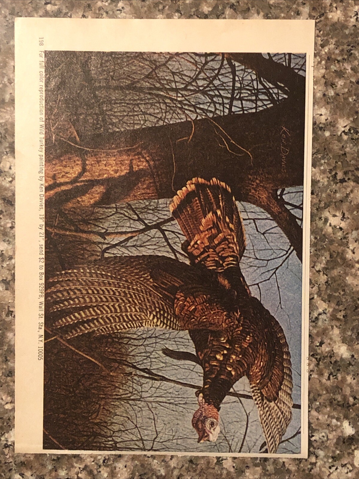 1978 Wild Turkey Bourbon PRINT AD Benjamin Franklin 1776 Lore Symbol VTG 1970s