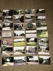 Vintage Brookline Massachusetts Photographs - 1980s/1990s - Lot of 117 Photos — photo 6