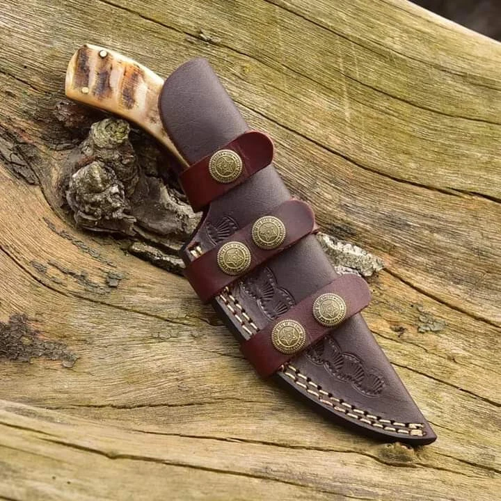 Cuchillo de hoja fija vintage con mango Ram EE. UU. Foto 2 de 2