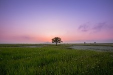 Digital image  picture photo wallpaper background... Digital image