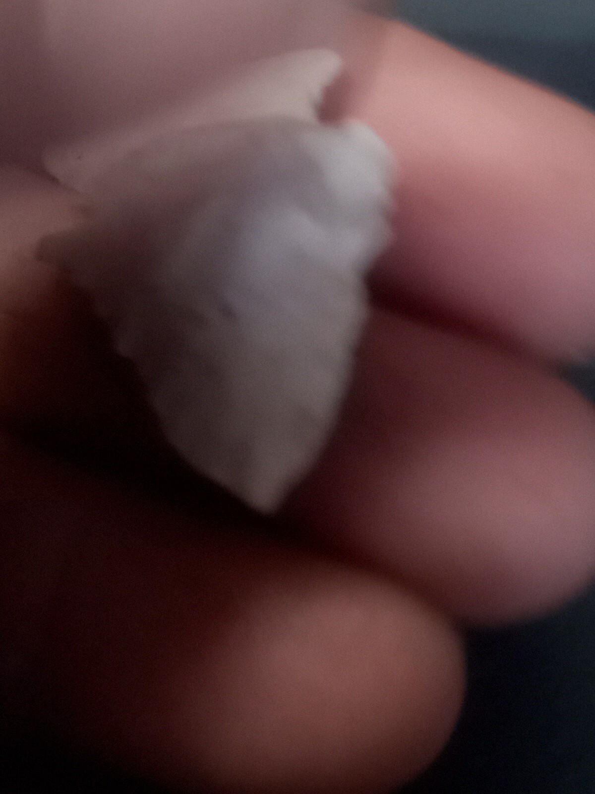 Bild 4 von 4