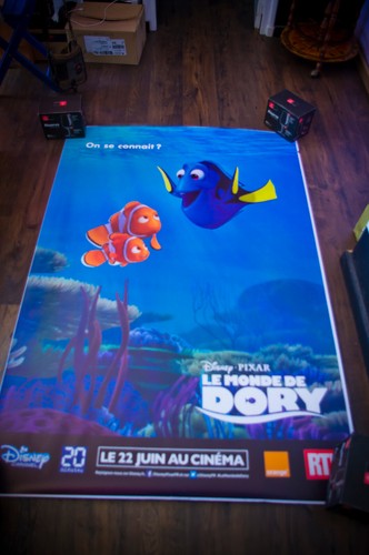 FINDING DORY D French Shelter Rolled D/S Vintage Movie Poster Original 2016