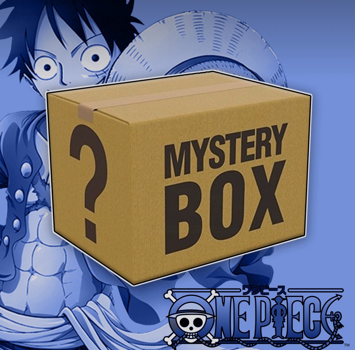 One Piece Mystery Box!