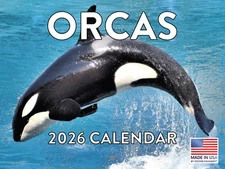 Orca Calendar 2026 Killer Whale Monthly Wall Calender 12 Month