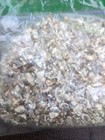 1 Gram Silver Shot .9999 Buy 1 Or Multiple