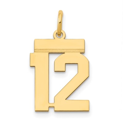 14k Yellow Gold Small Polished Number 12 Charm Pendant for Women