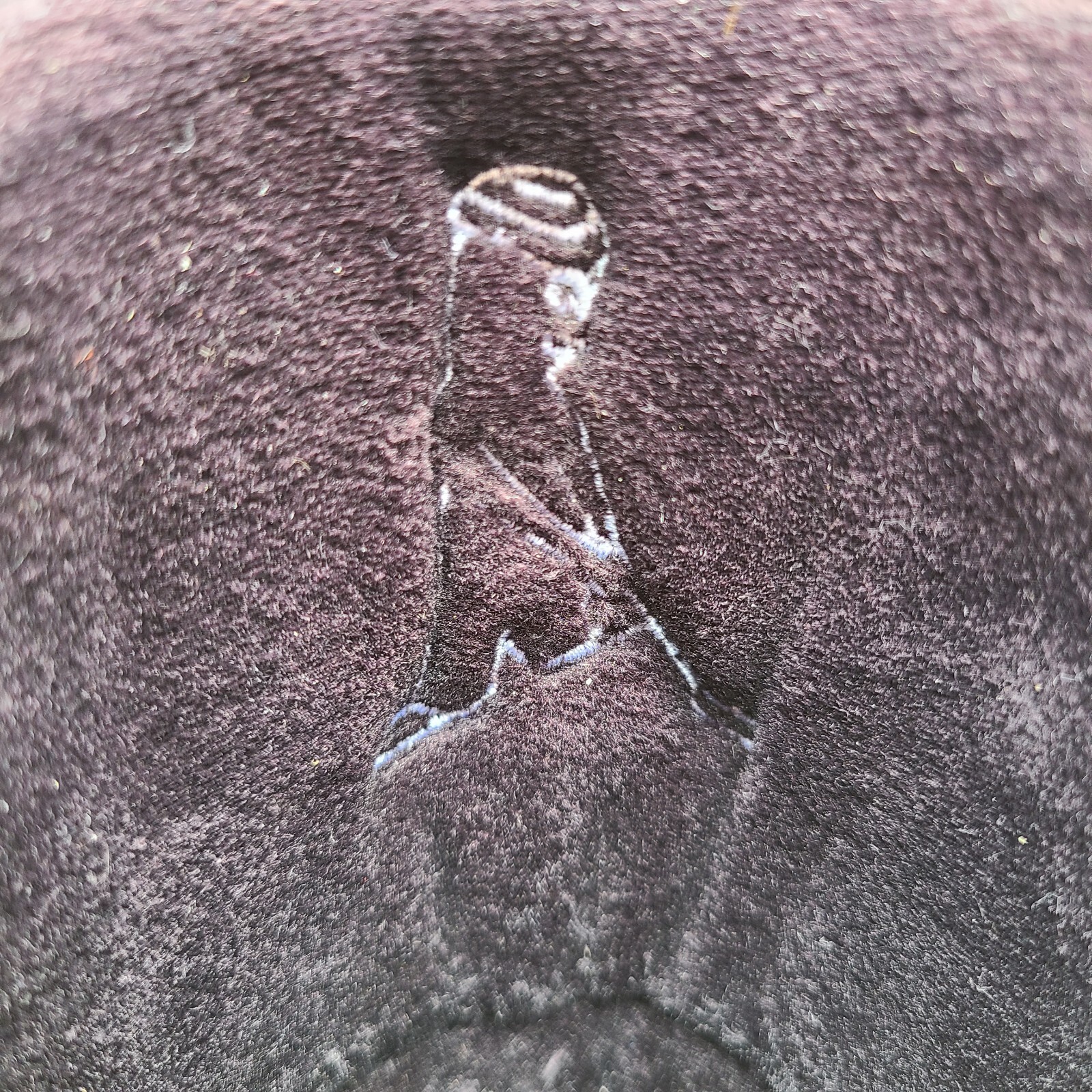 Picture 7 of 15