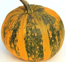 Pepitas Pumpkin Seeds 30 / ORGANIC / FLORIDA GROWN/ ORGANIC