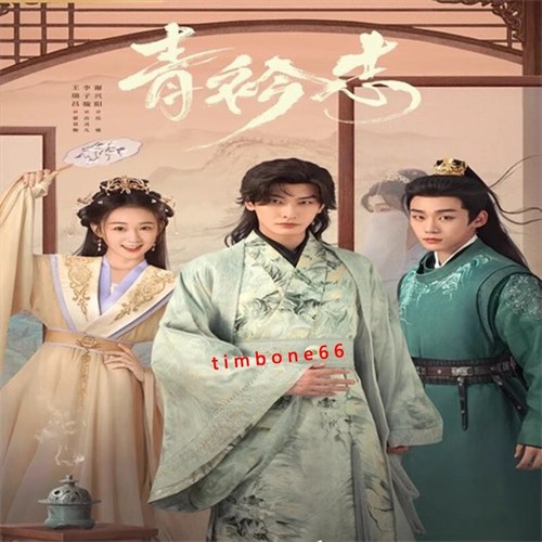 2025 Chinese Drama QING JIN ZHI 青衿志 Chinese Sub BOXed 爱情 - Afbeelding 3 van 3