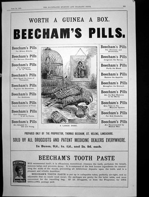Alte Buchen Pillen Kopfschmerzen Magen Nerven Buchen Zahnpasta 1892 Viktorianisch