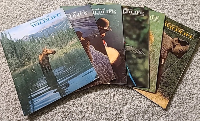 International Wildlife Magazine – Complete 1975 Year (6 Issues) – One Issue Worn
