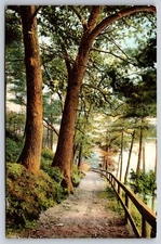 The Pines Haverhill Massachusetts Vintage Postcard Forest River Path