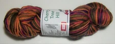 4 oz skein of FALL FOLIAGE Cherry Tree Hill SUPERSOCK Merino Wool dk sock yarn