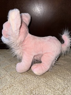 Webkinz Chichi Chihuahua HM484 With Code for sale online | eBay