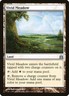 Vivid Meadow 1x  MtG Commander 2011 CMD SP/NM