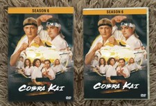 Cobra Kai  Complete series 6th Season  (6, Pa...