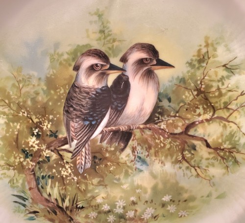 Placa de gabinete verde SHELLEY England Fine Bone China Australian Kookaburra - Imagen 2 de 6