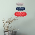 Picture 5 of 95