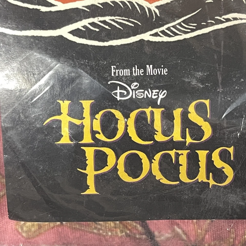 Hocus Pocus Talla XL 14-16 Niñas De Lujo Sarah Bruja Vestido Disfraz Disney Foto 2 de 4