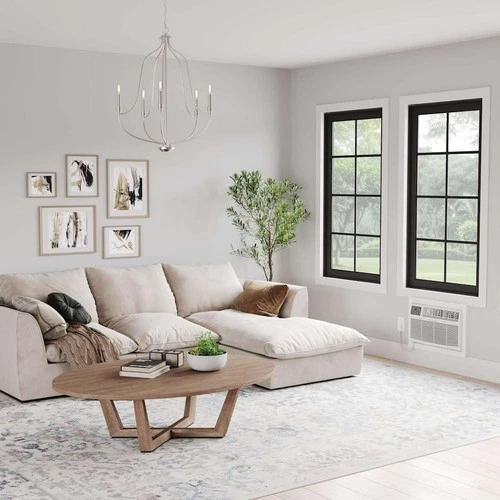 DRTAC081XNA1 8,000 BTU 115V Through the Wall Air Conditioner and Remote Contr... - Picture 8 of 9