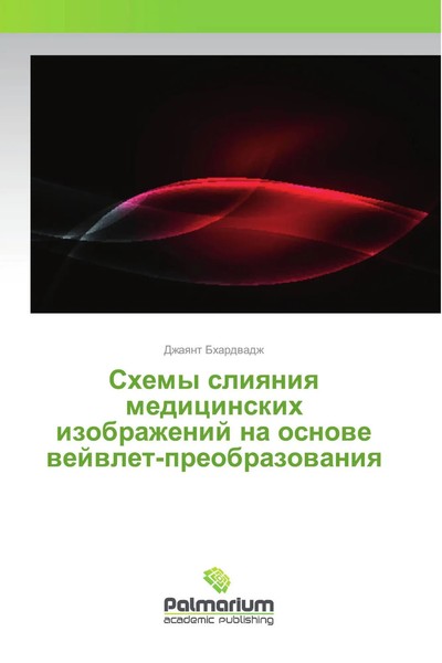 Shemy Sliqniq Medicinskih Izobrazhenij Na Osnowe Wejwlet-Preobrazowaniq Buch-image