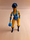 Evil Lynn Vintage He-Man MOTU action figure